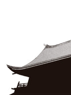 Ikkyu: Fogo (火) - volume 3