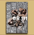BR 111 - A Rota das prisões Brasileiras