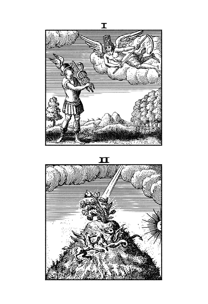 O Livro das Figuras Hieroglíficas