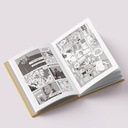 Combo Luzes de Niterói + Eldorado